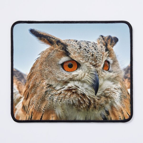 Item preview, Eurasian Eagle Owl designed and sold by Richard Allen.