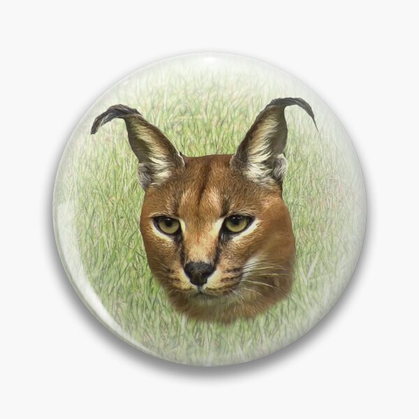 Item preview, Caracal designed and sold by Guardi71.