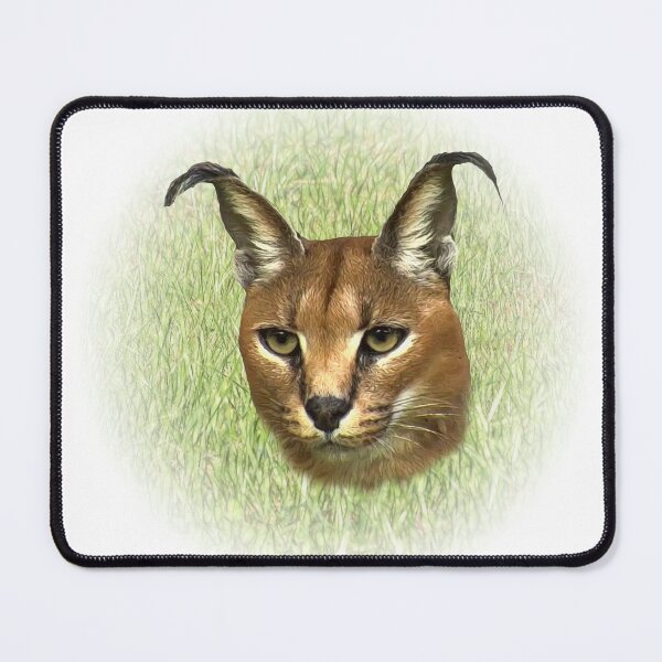 Item preview, Caracal designed and sold by Guardi71.