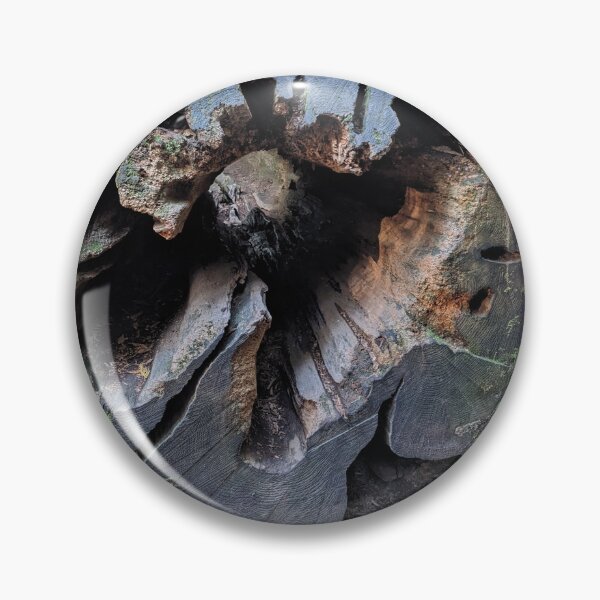 Item preview, Old tree designed and sold by CsillaRosales.