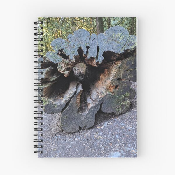 Item preview, Old tree designed and sold by CsillaRosales.