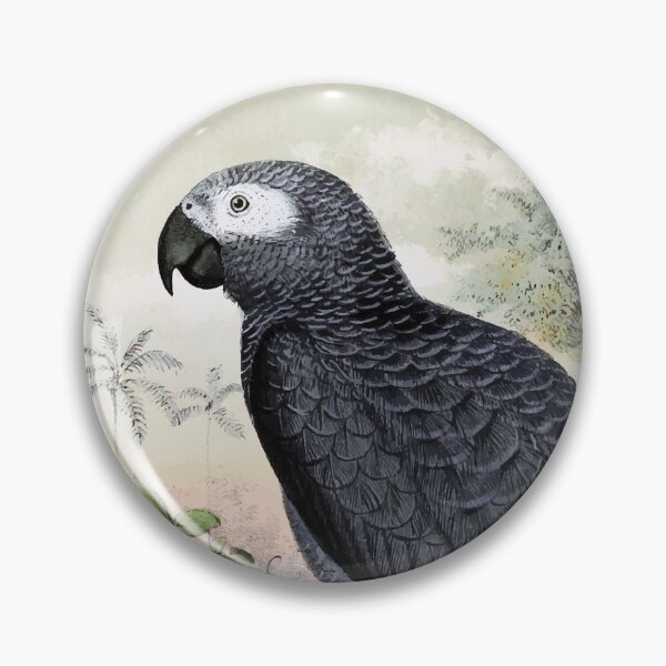 Item preview, African Grey Parrot Poster designed and sold by Sesame1195.