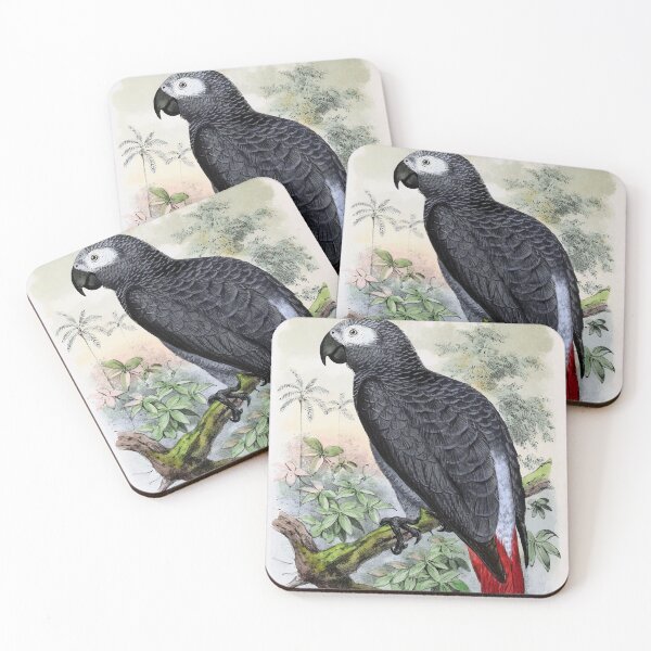 Item preview, African Grey Parrot Poster designed and sold by Sesame1195.