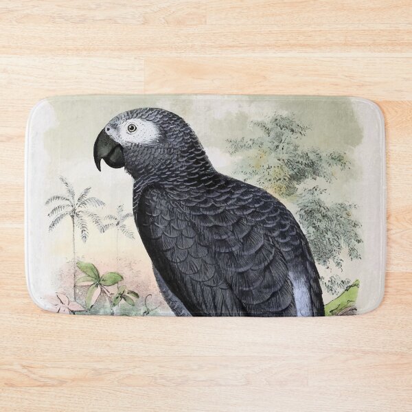 Item preview, African Grey Parrot Poster designed and sold by Sesame1195.