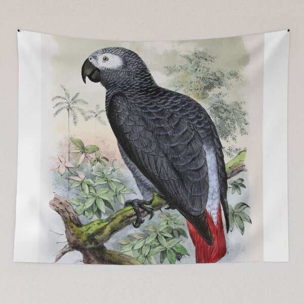 Item preview, African Grey Parrot Poster designed and sold by Sesame1195.