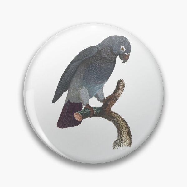Item preview, African Grey Parrot Stickers  designed and sold by Sesame1195.