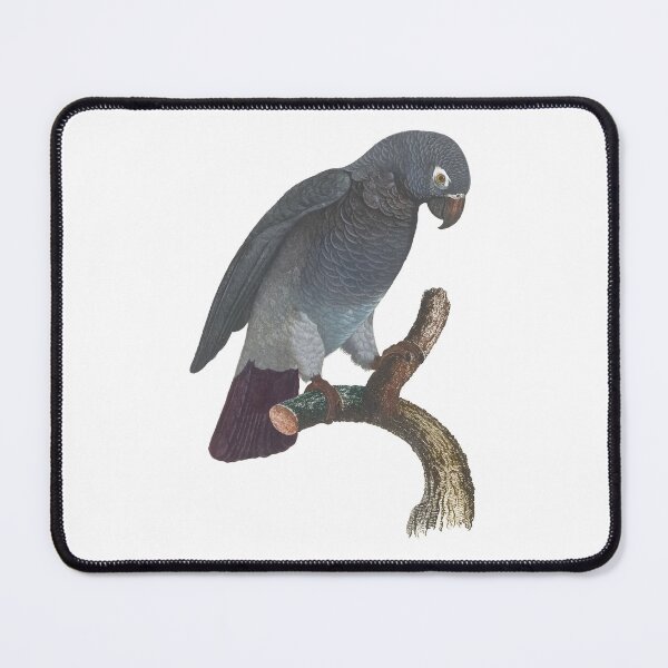 Item preview, African Grey Parrot Stickers designed and sold by Sesame1195.
