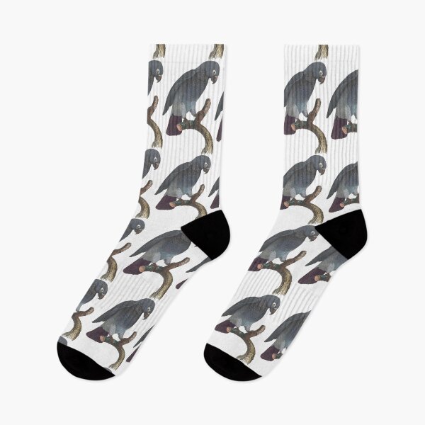 Item preview, African Grey Parrot Stickers  designed and sold by Sesame1195.