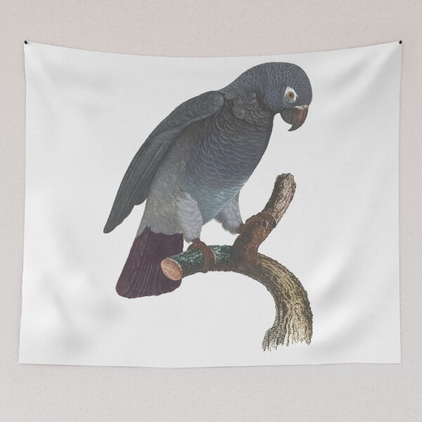 Item preview, African Grey Parrot Stickers  designed and sold by Sesame1195.