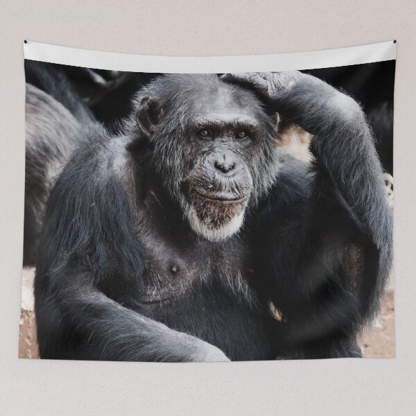 Item preview, Chimpanzee Monkey designed and sold by TheAnimalZ00.