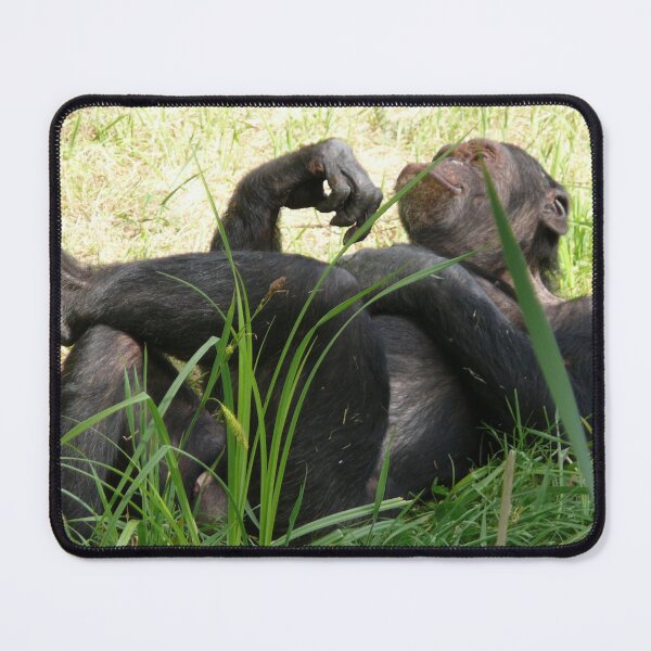 Item preview, Chimpanzee Laying On The Grass designed and sold by TheAnimalZ00.