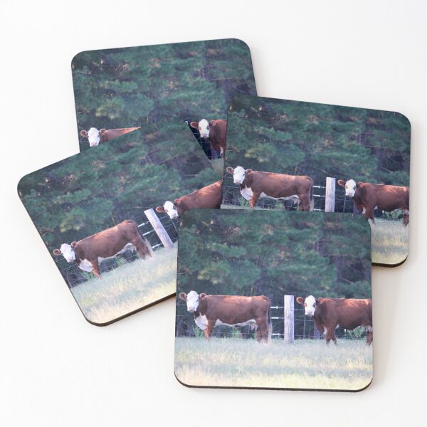 Item preview, White Face Brown Cattle designed and sold by Cynthia48.