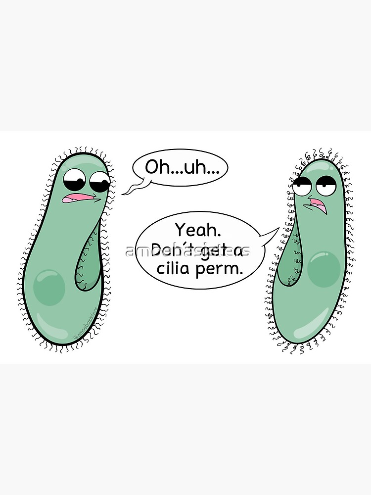 Thumbnail 2 of 2, Greeting Card, Cilia Perm designed and sold by amoebasisters.