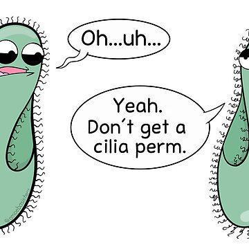 Artwork thumbnail, Cilia Perm by amoebasisters