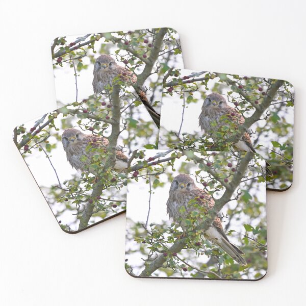 Item preview, Kestrel on Autumn Berries designed and sold by ClaireChown.