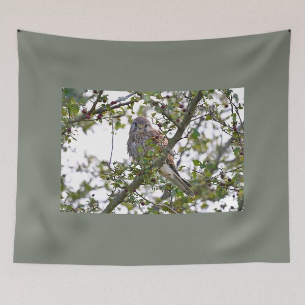 Item preview, Kestrel on Autumn Berries designed and sold by ClaireChown.