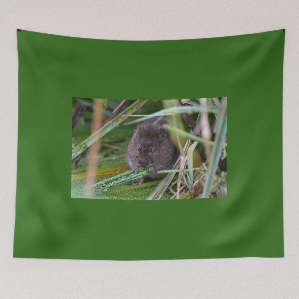 Item preview, Water Vole With Reed Snack designed and sold by ClaireChown.