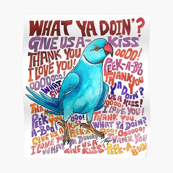 "Chatty Ringneck" Poster