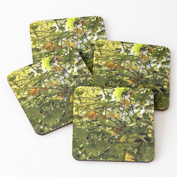 Item preview, Filtered Sunlight Through Leaves 2 designed and sold by Scott and Mary Schneider art_photography.