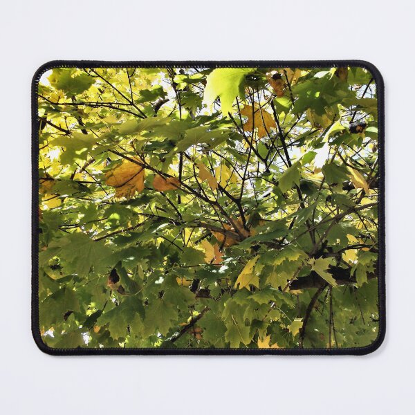 Item preview, Filtered Sunlight Through Leaves 2 designed and sold by Scott and Mary Schneider art_photography.