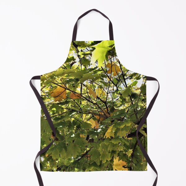 Item preview, Filtered Sunlight Through Leaves 2 designed and sold by Scott and Mary Schneider art_photography.