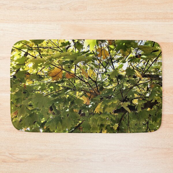 Item preview, Filtered Sunlight Through Leaves 2 designed and sold by Scott and Mary Schneider art_photography.