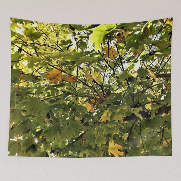Item preview, Filtered Sunlight Through Leaves 2 designed and sold by Scott and Mary Schneider art_photography.