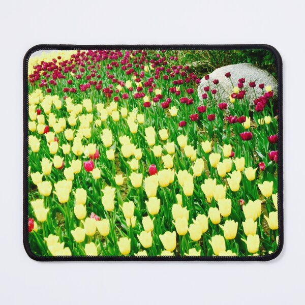 Item preview, Yellow and red tulips designed and sold by Shulie1.