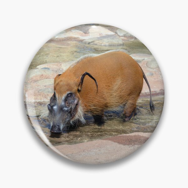 Item preview, Male Red River Hog designed and sold by Savannah Gibbs.