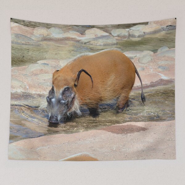Item preview, Male Red River Hog designed and sold by Savannah Gibbs.