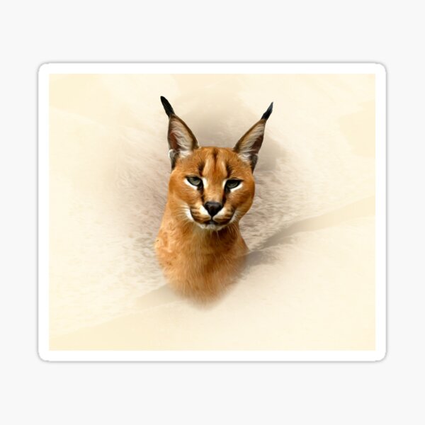 Mexican Lottery, Caracal Cat, The Floppa' Sticker