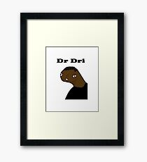 Dr Dri name above Framed Print