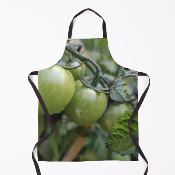 Item preview, Cute green tomatoes in fall, covered in dew as well designed and sold by tshuki.