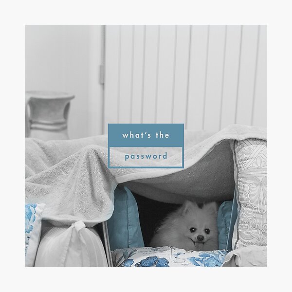 White Dog - what's the password Photographic Print