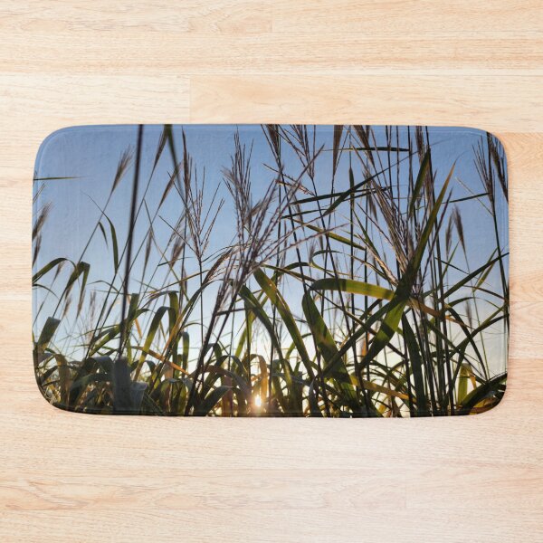 Item preview, Fall dawn through the tall grasses designed and sold by tshuki.