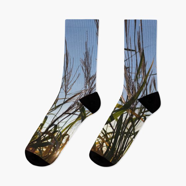 Item preview, Fall dawn through the tall grasses designed and sold by tshuki.