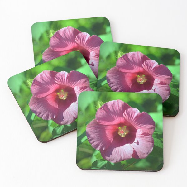 Item preview, Hibiscus  designed and sold by Savannah Gibbs.