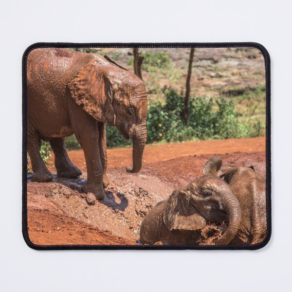 Item preview, Kenya. Baby Elephants. Mud Bath. designed and sold by vadim19.