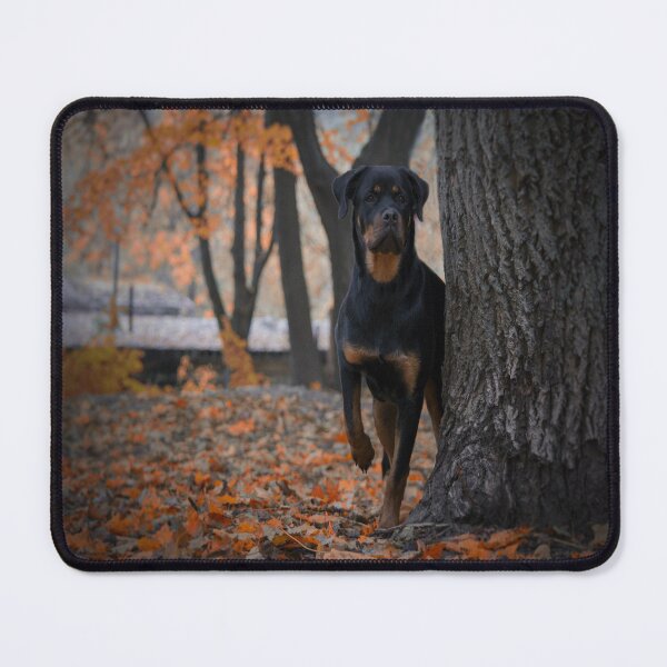 Item preview, rottweiler designed and sold by Collection de trésors .
