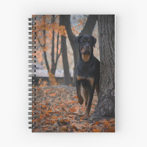 Item preview, rottweiler designed and sold by Collection de trésors .