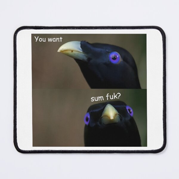 Item preview, Baby You Want Sum Fuk? Lemme Smash Crow Bird Meme designed and sold by fomodesigns.