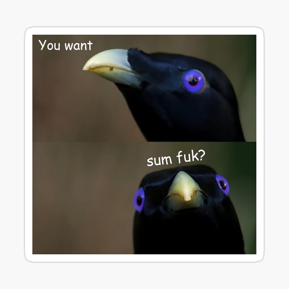 Baby You Want Sum Fuk? Lemme Smash Crow Bird Meme | Art Board Print