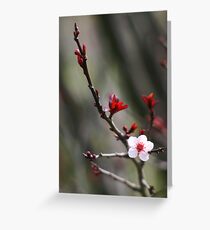 Asiatique Greeting Card