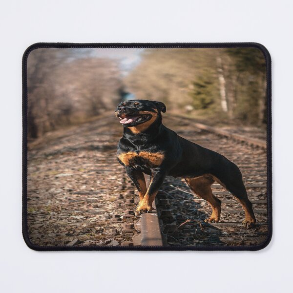 Item preview, rottweiler designed and sold by Collection de trésors .
