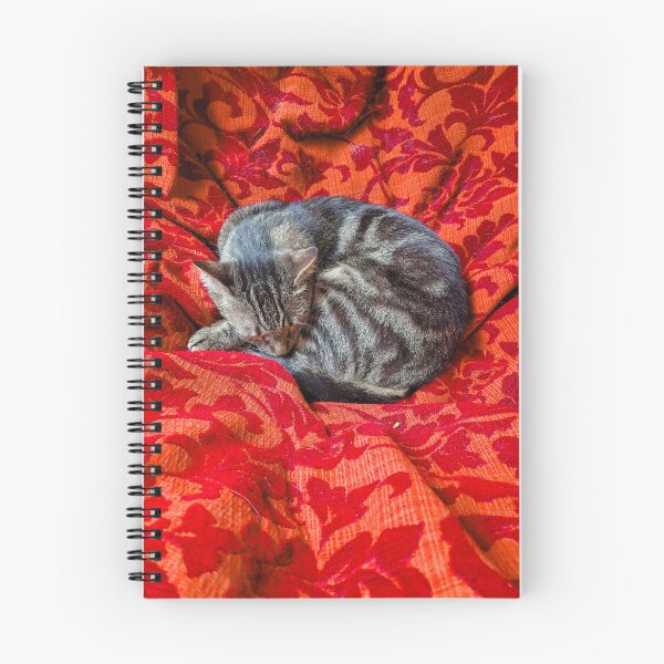 Item preview, Cute cat sleeping designed and sold by curiousines.