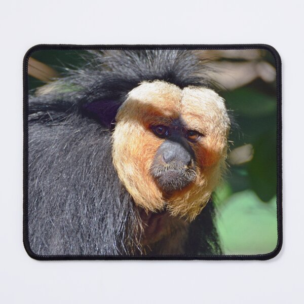 Item preview, Saki Monkey  designed and sold by Savannah Gibbs.