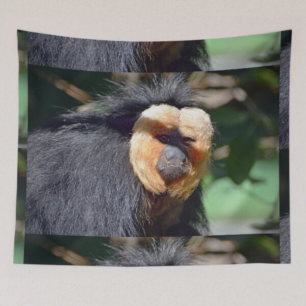 Item preview, Saki Monkey  designed and sold by Savannah Gibbs.