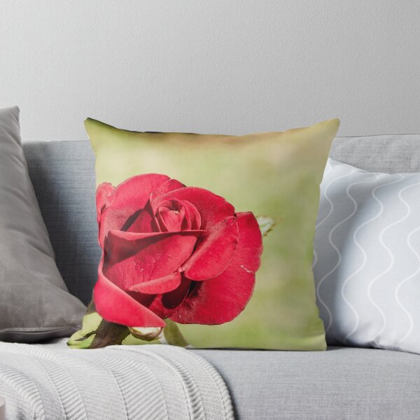 Item preview, Red Red Rose designed and sold by ilovethenight.