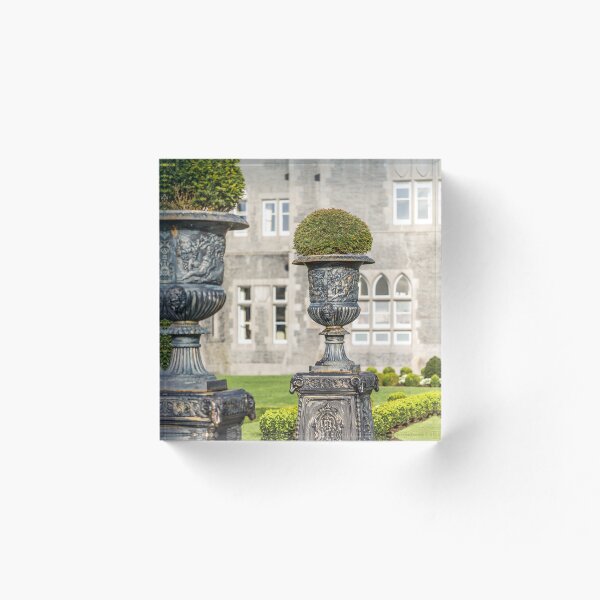Item preview, Ashford Castle Gardens designed and sold by WanderPrintShop.