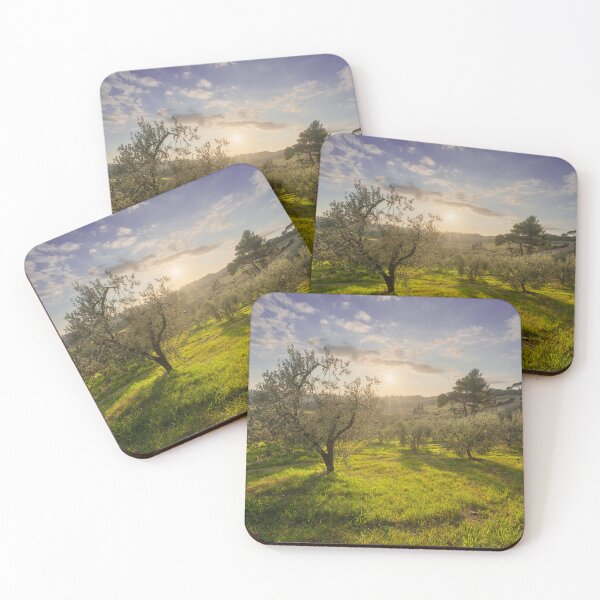 Item preview, Olive grove in Alta Maremma. Landscape in Tuscany, Italy designed and sold by Stefano Orazzini.